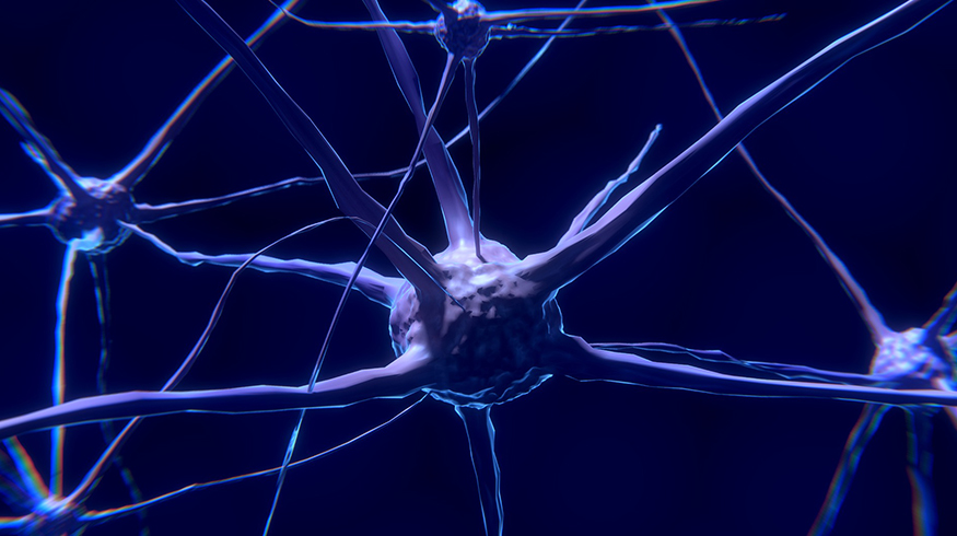 Precision Neuroscience Raises $93 Million, Challenges Musk’s Neuralink